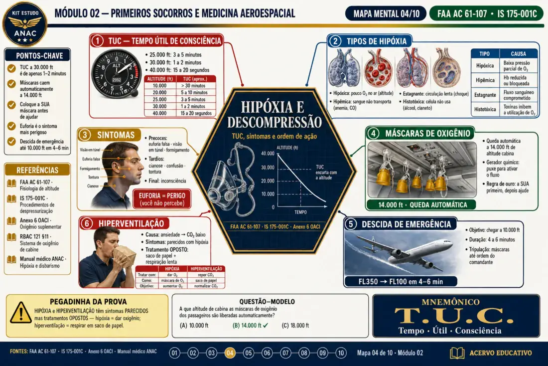 Mapa mental — Hipóxia e descompressão