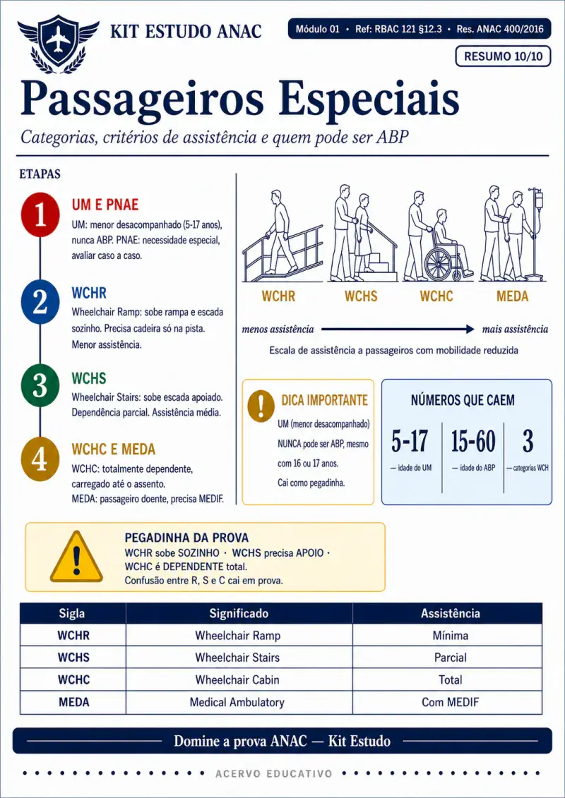 Resumo visual — Passageiros especiais