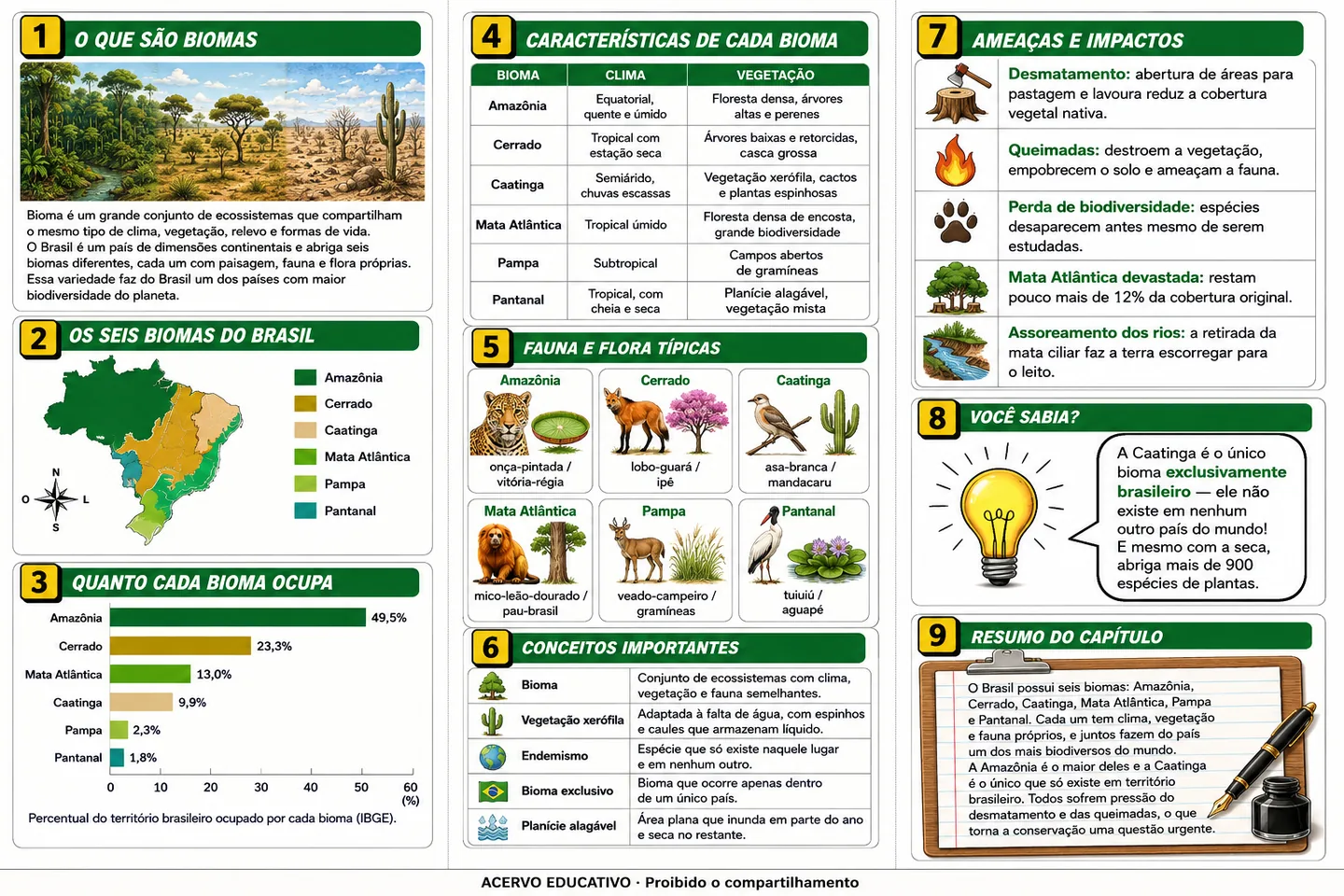 Folder resumo ilustrado — Biomas brasileiros (frente)