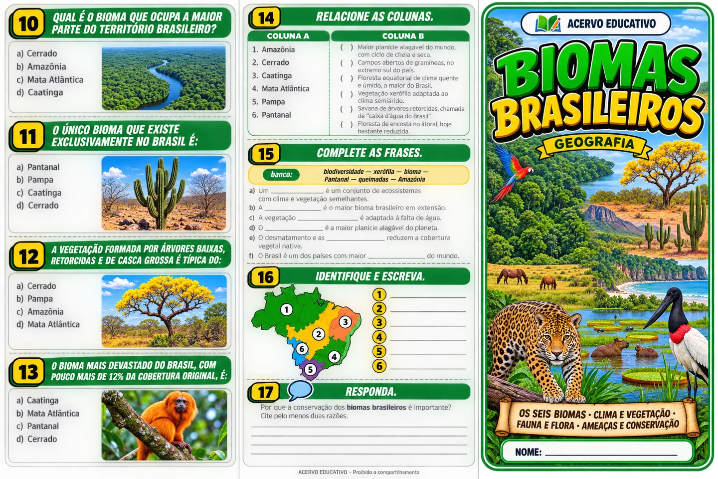 Folder de atividades — Biomas brasileiros (verso)